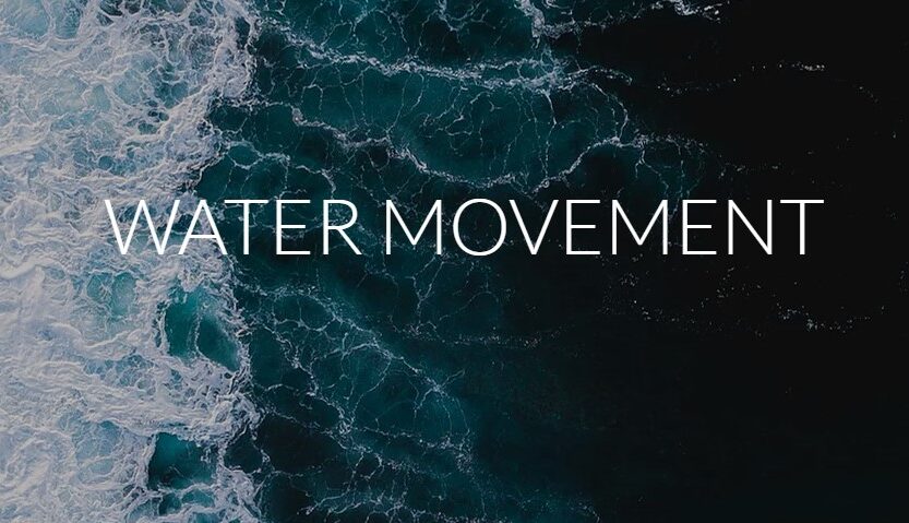 Wednesdays with Warren: Water Movement Operator Training Videos